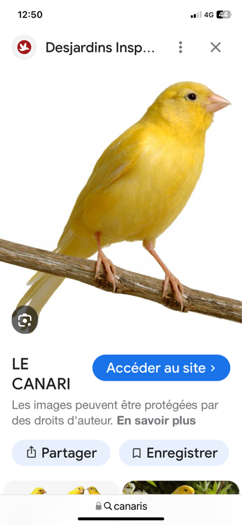 Canari 0 47220 Astaffort