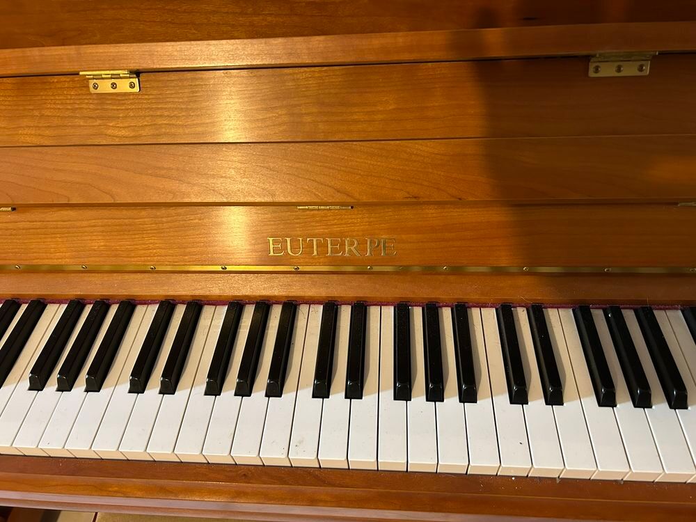 Piano droit ? Euterpe E112 (par C. Bechstein) Instruments de musique