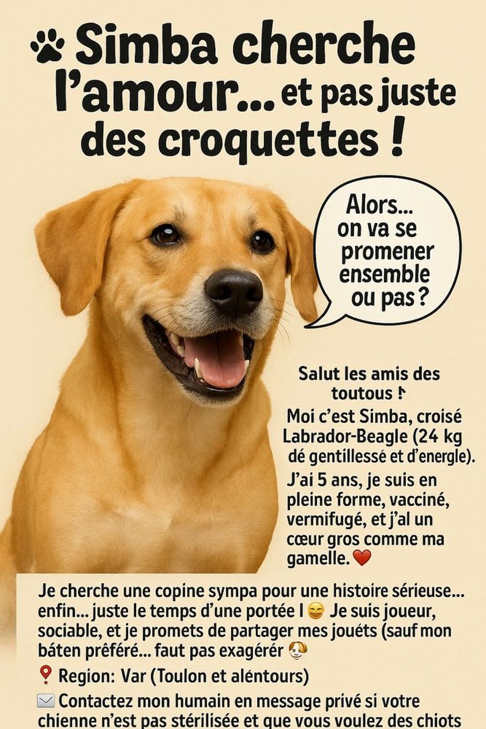   Saillie chien  