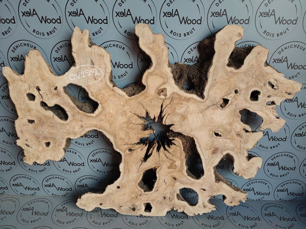 Plateau racine d'olivier XXL bois brut
Bricolage