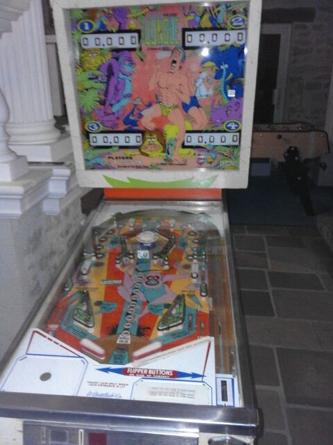 flipper 1500 Dordives (45)