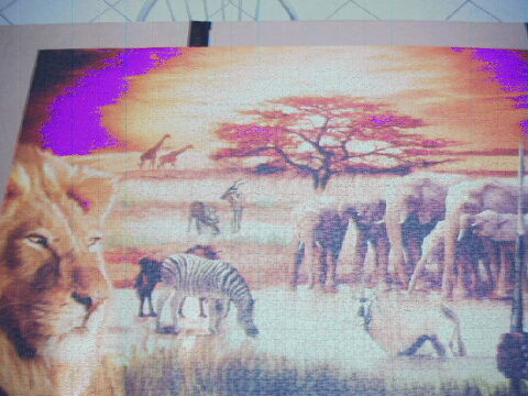 Puzzle  3000 pieces henri59 18 La Chapelle-d'Armenti�res (59)