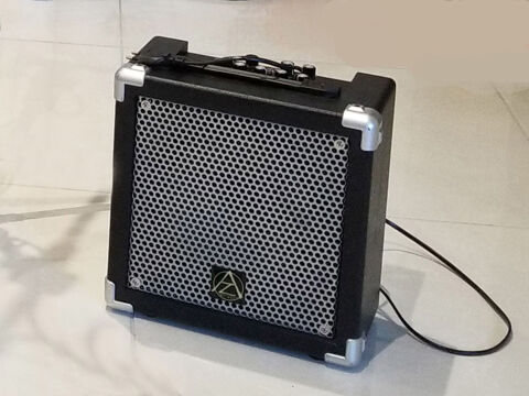 Ampli guitare Genius 30 Meyrannes (30)