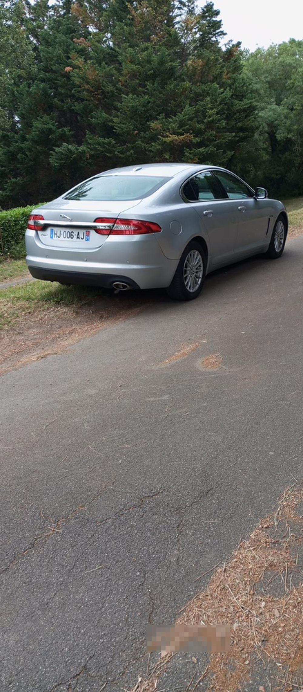 XF 2.2 D - 190 Luxe A 2012 occasion 31320 Vieille-Toulouse