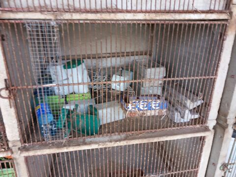 cages a lapins 250 63500 Parentignat