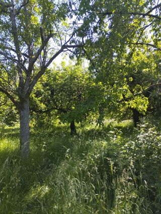  Terrain à vendre 1109 m² Charleville-mézières