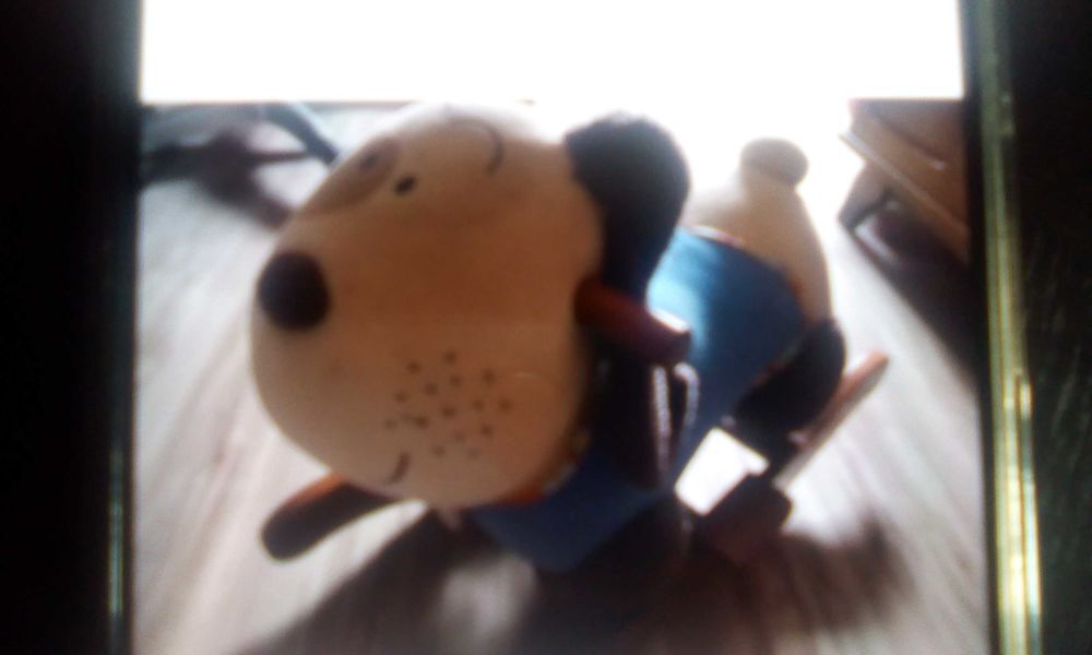 chien a bascule Jeux / jouets