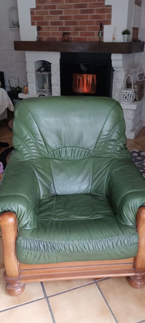Fauteuil cuir vert 50 Fauville-en-Caux (76)