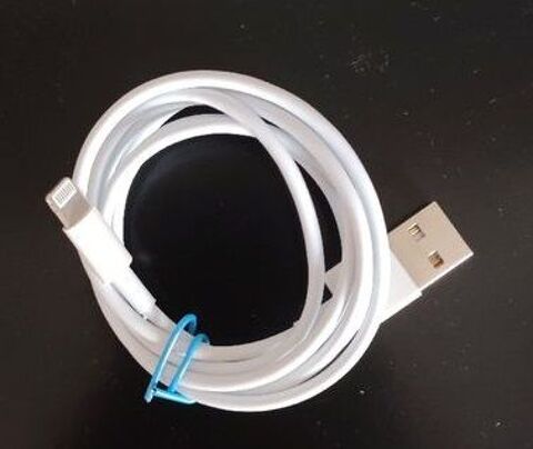 C�ble de charge Apple 3 Beauchamp (95)