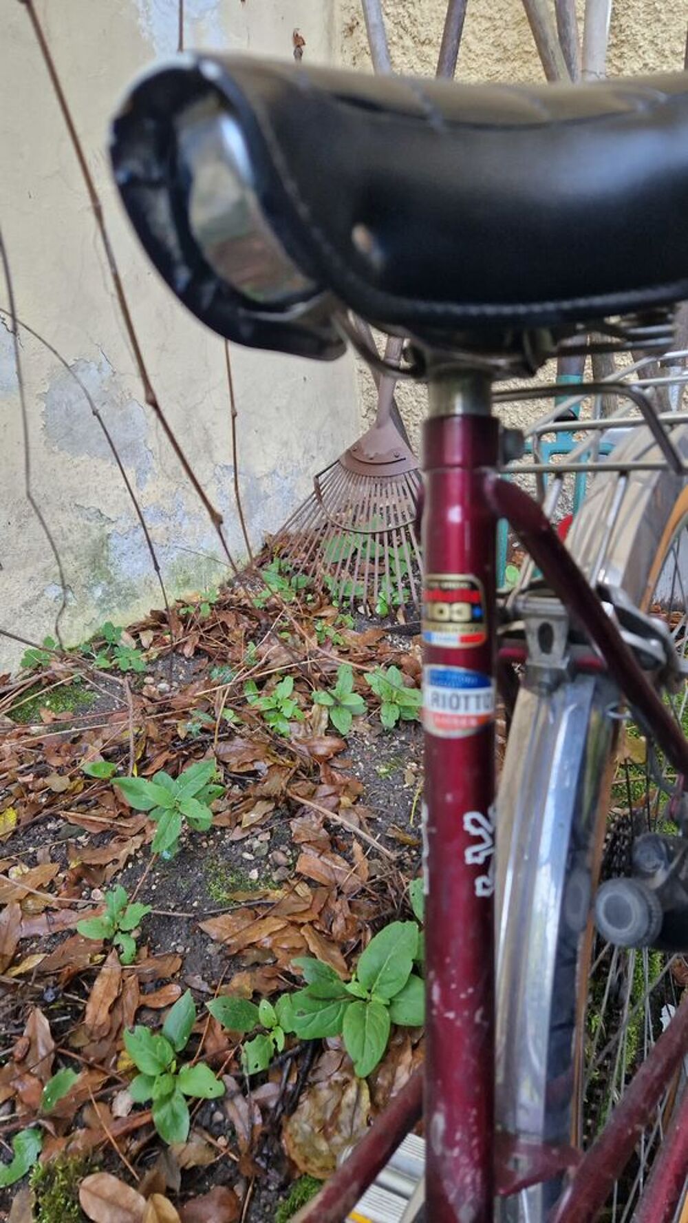2 v&eacute;los vintage Peugeot ann&eacute;es 50. Tbe. Vélos