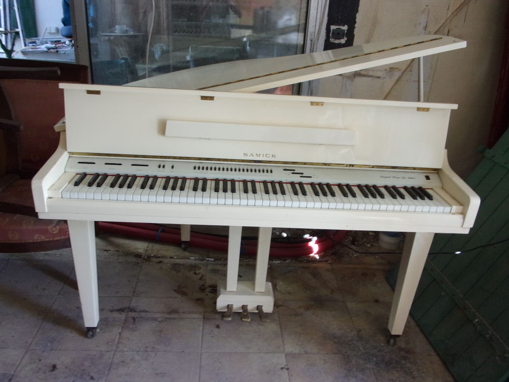 PIANO A QUEUE Instruments de musique