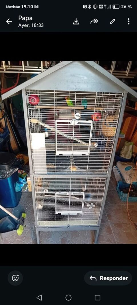 Cage &agrave; oiseau 80 66490 Saint-jean-pla-de-corts