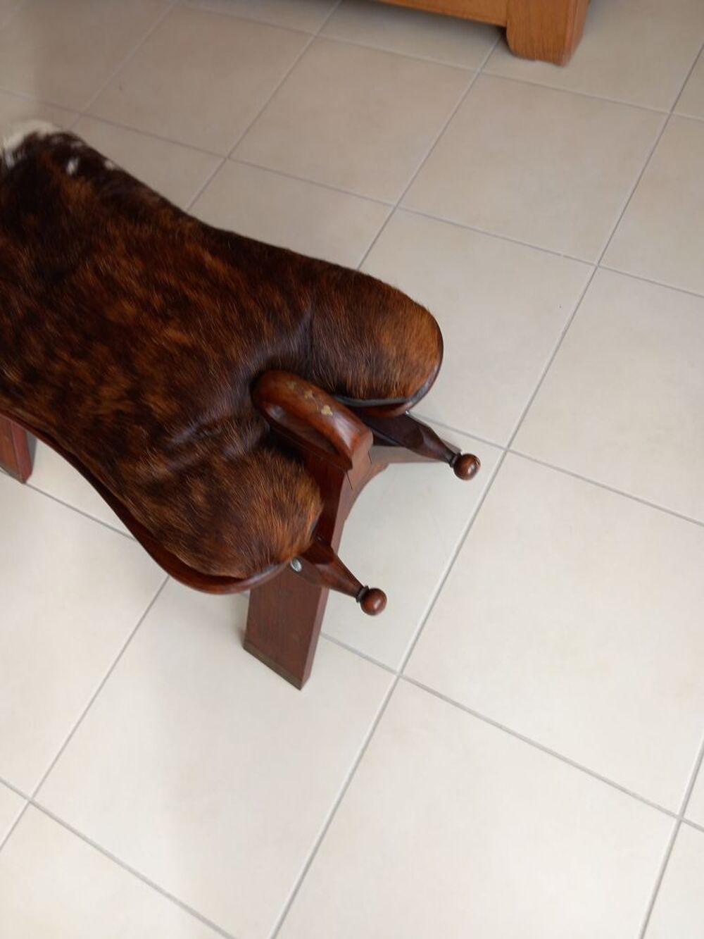 selle de chameau Décoration