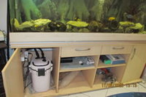    cède très bel aquarium 600 litres COMPLET 