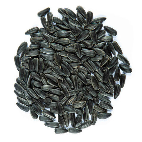 tournesol 1 72400 La fert-bernard