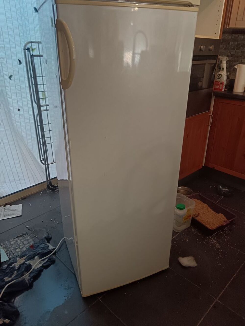 CONGELATEUR 150 L Electroménager