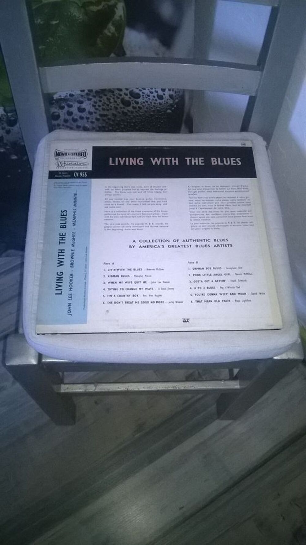Vinyle Living With The Blues
Bon etat
Livin' With The Blue CD et vinyles