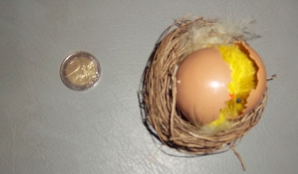 Nid oeuf avec poussin Décoration