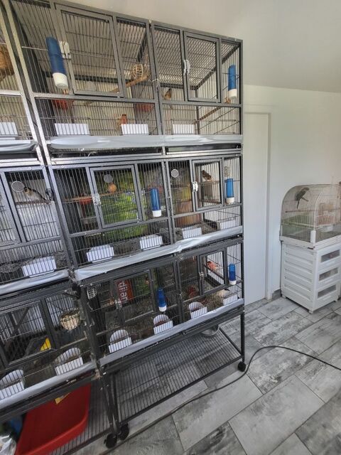 Batterie d élevage oiseaux 350 86430 Luchapt