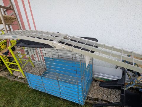 Cage de transport animal 40 Bouclans (25)