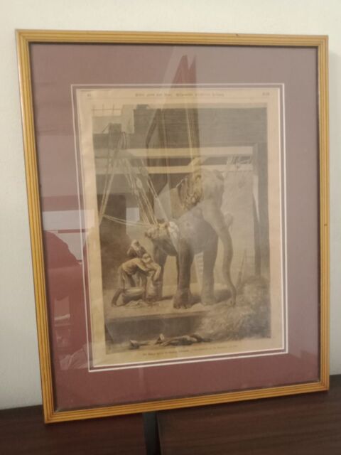 Tableau gravure sign� 40 Nice (06)