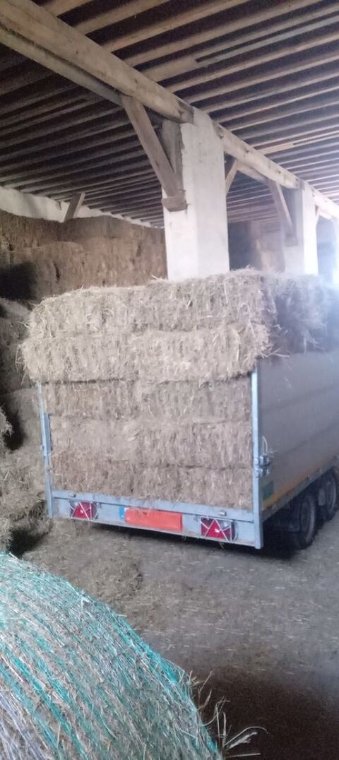 foins 2024 2 58240 Livry