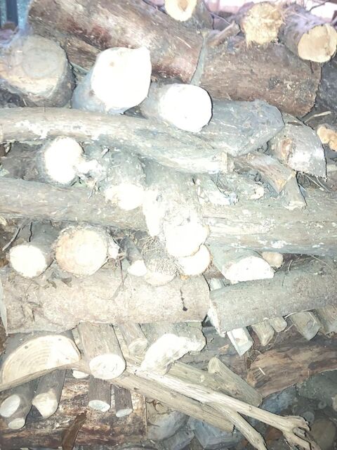 bois de chauffage 250 Pl�lo (22)