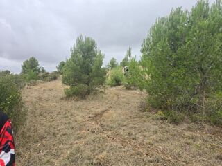  Terrain � vendre 8500 m� Gabian
