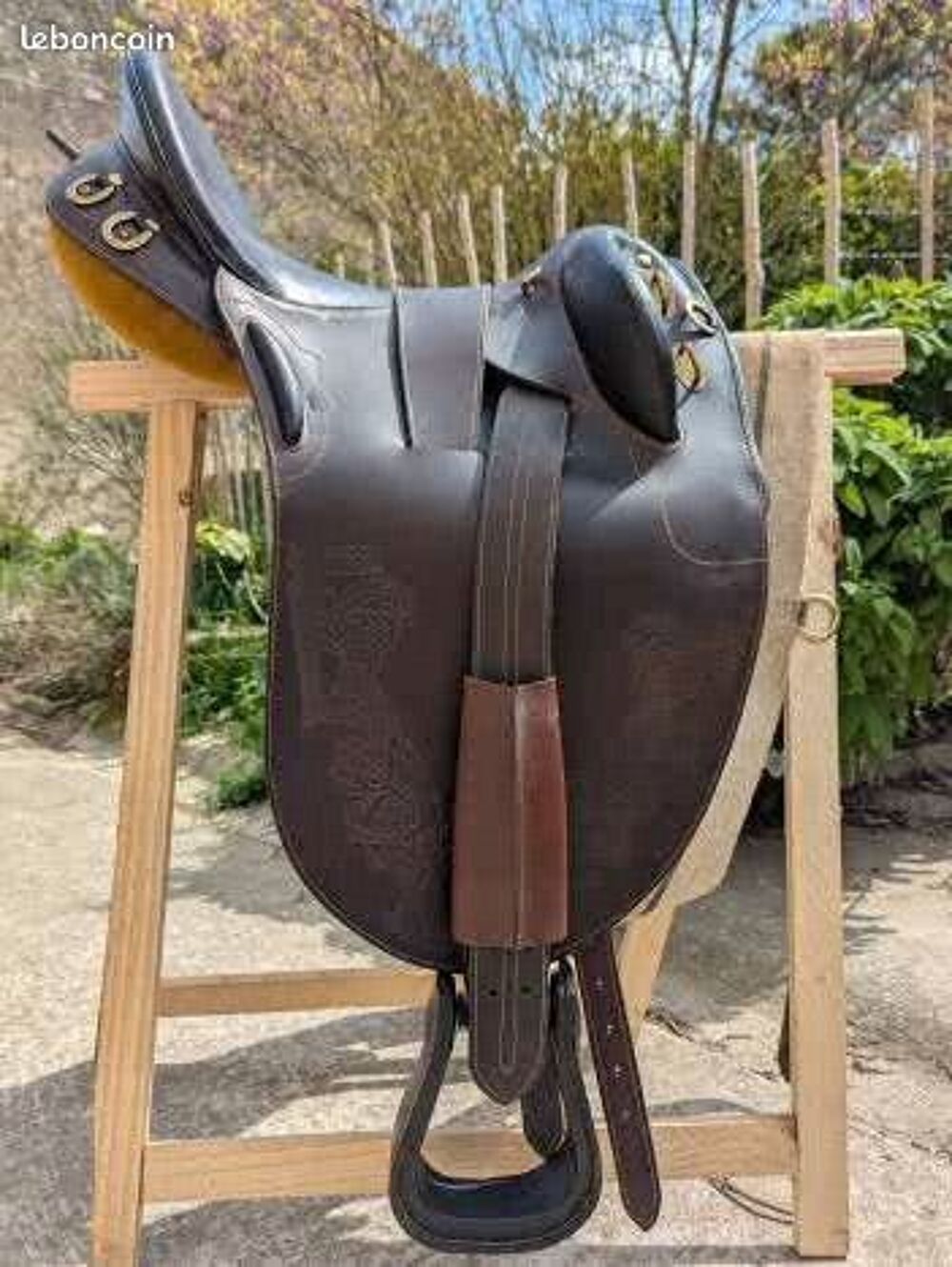 Selle australienne Sports