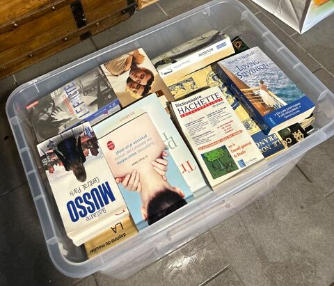 Romans, livres 30 Dole (39)