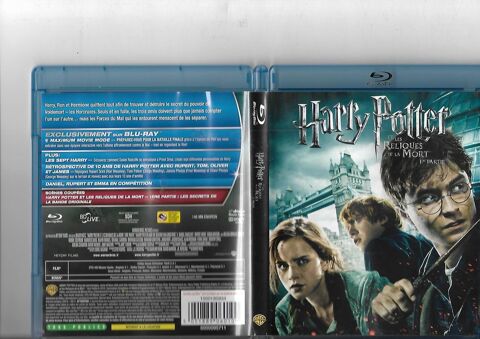 harry potter et les reliques de la mort 1 ere partie 5 Bubry (56)