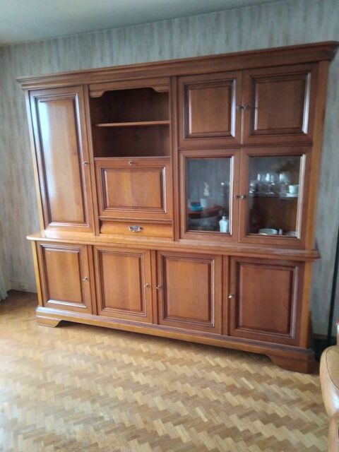 meuble living 100 Limoges (87)
