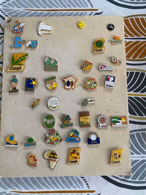 PLANCHE DE 36 PIN S DIVERS VINTAGE 15 Lamballe (22)