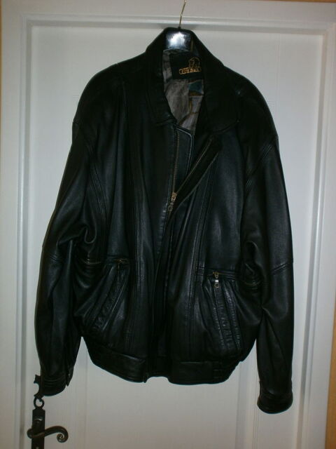 blouson homme cuir prix 30 30 Saint-Agnant (17)
