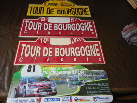 plaques rallye 10 Dijon (21)
