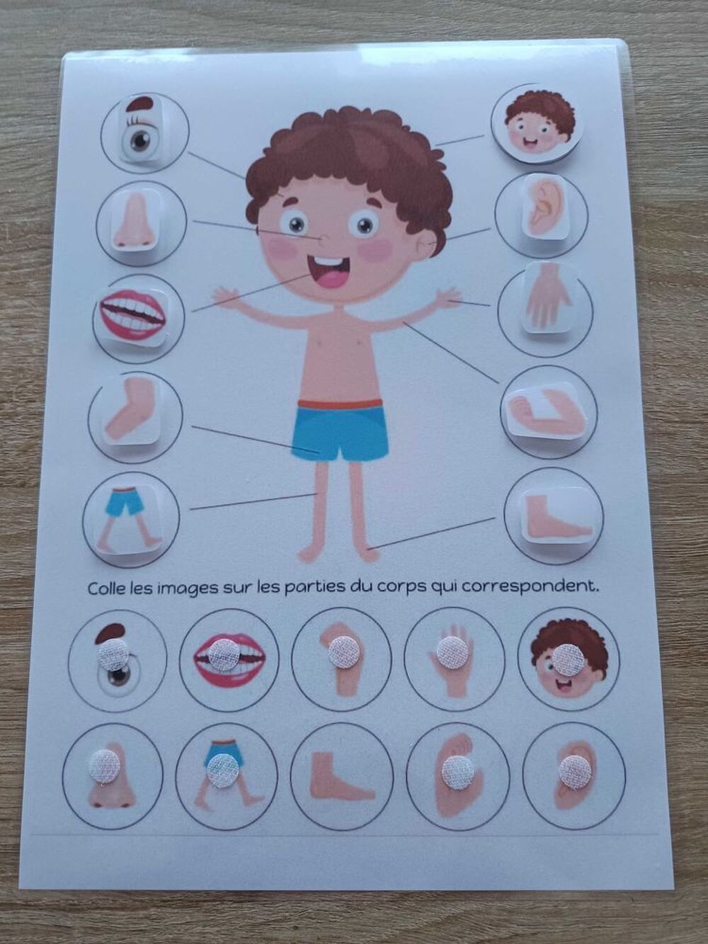 Montessori le corps humain Jeux / jouets