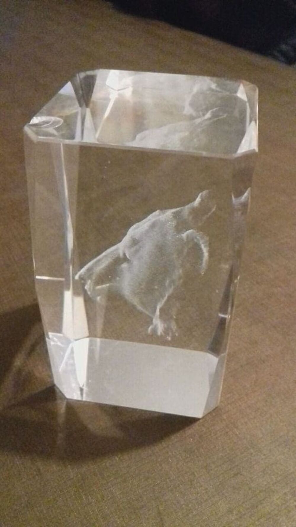 Bloc Vertical tete ours Grav&eacute;s en 3D dans le verre 80*50*50 Décoration