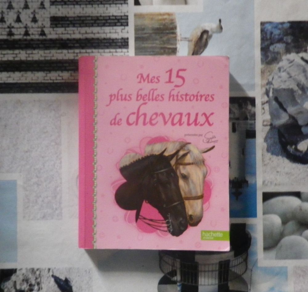 MES 15 PLUS BELLES HISTOIRES DE CHEVAUX S. THALMANN Livres et BD