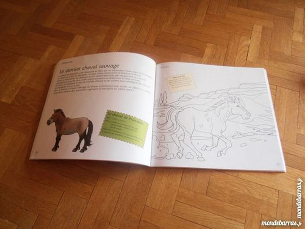 Carnet d'activit&eacute;s Le cheval (4) Livres et BD