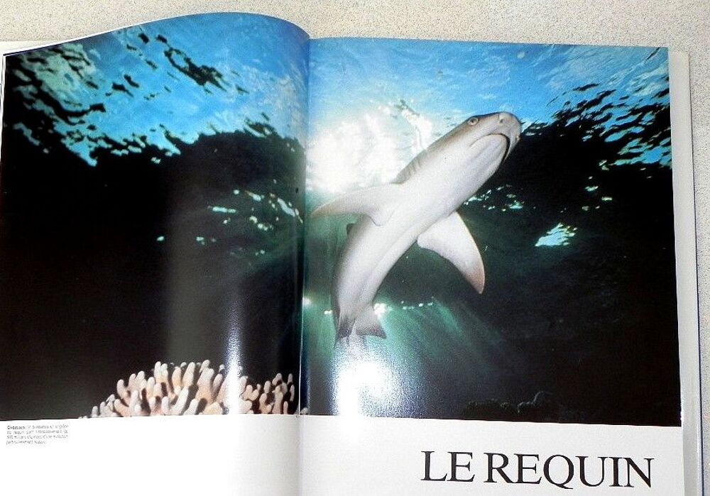 Livre " LES REQUINS " , encyclop&eacute;die de 240 pages Livres et BD