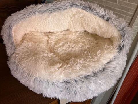 COUSSIN FOURRURE CHAT PETIT CHIEN 25 66100 Perpignan