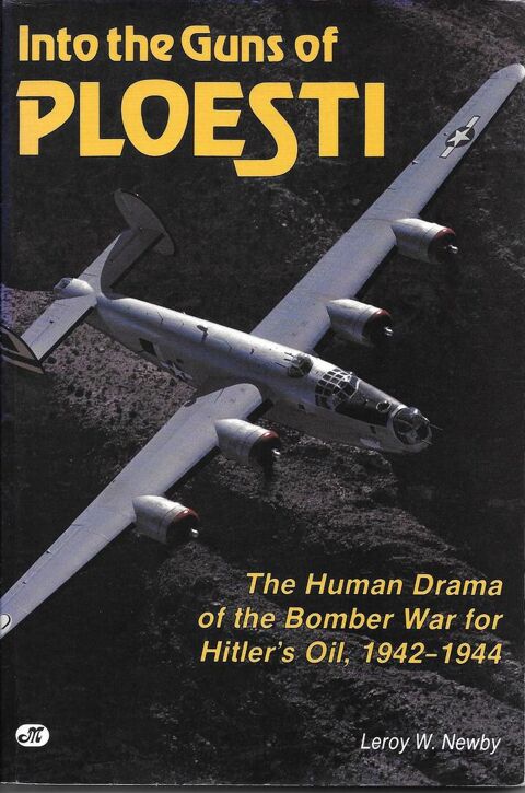 Into the Guns of Ploesti - Leroy W. Newby 19 Avignon (84)