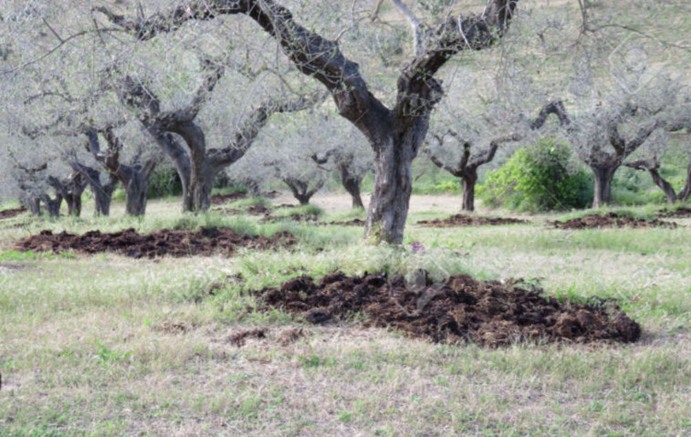 Id&eacute;al pour jardin donne crottin/fumier Jardin
