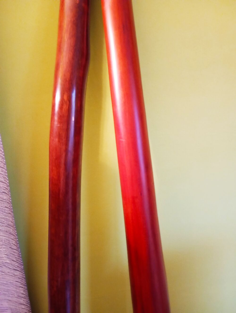 2 Didgeridoos Haut de gammes Instruments de musique