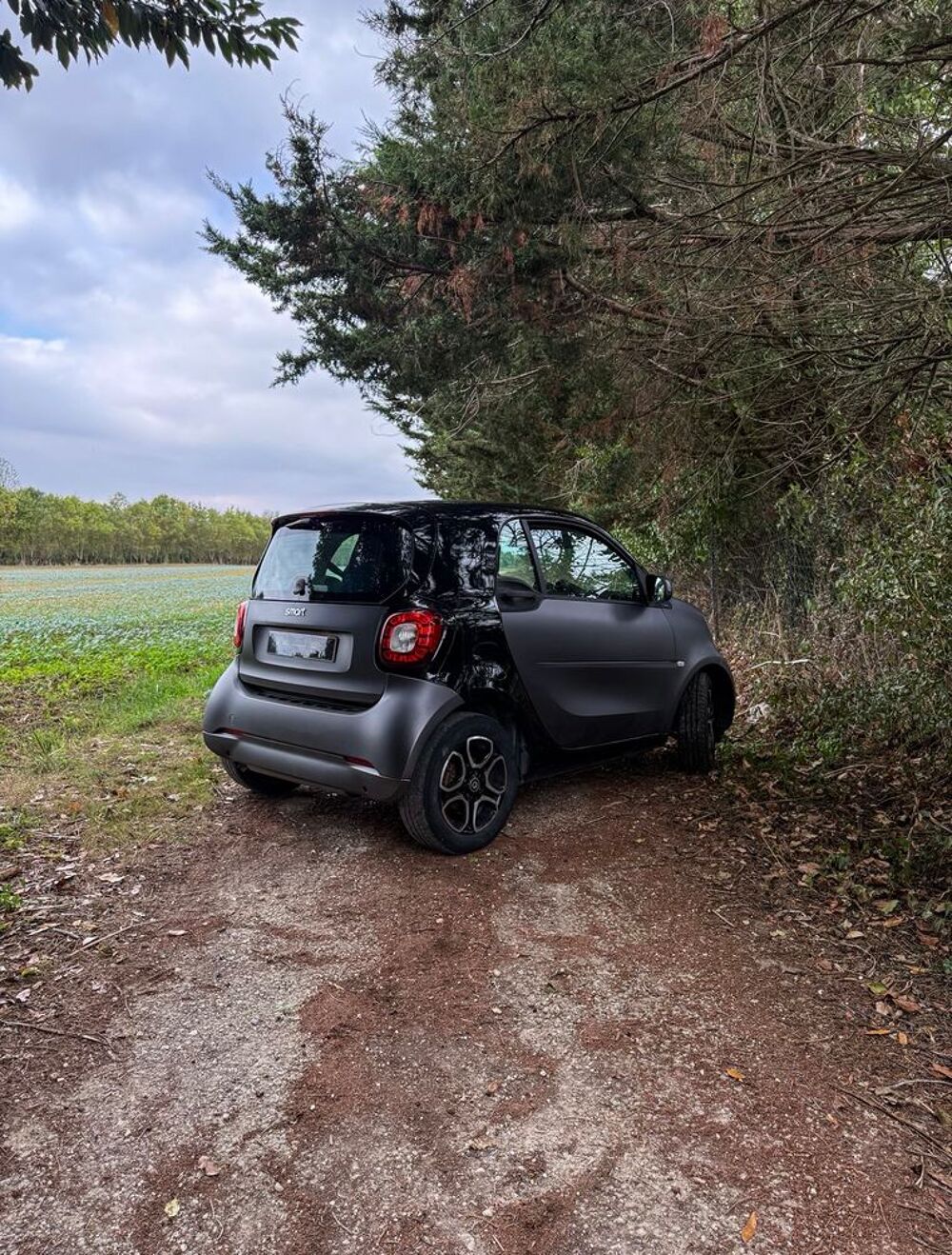 ForTwo Fortwo Cabrio 0.9 90 ch S&S BA6 Passion 2017 occasion 17000 La Rochelle