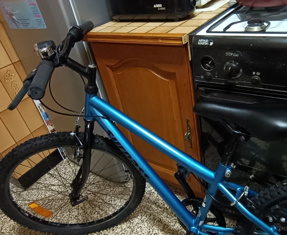 VTT enfant 20 pouces SURPASS. Vélos