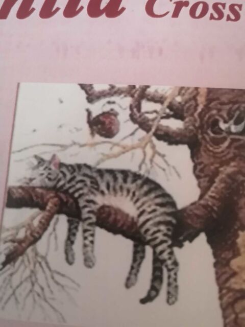 canevas point compt� 6 Beauvais (60)