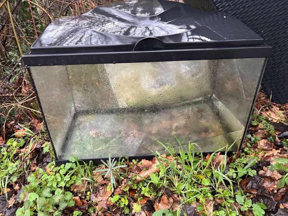 2 aquariums Décoration