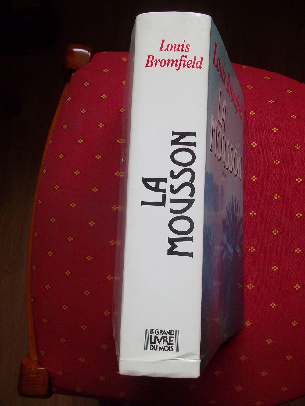 La mousson // roman Livres et BD