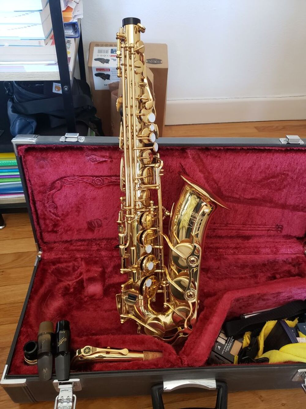 Saxophobe alto Instruments de musique